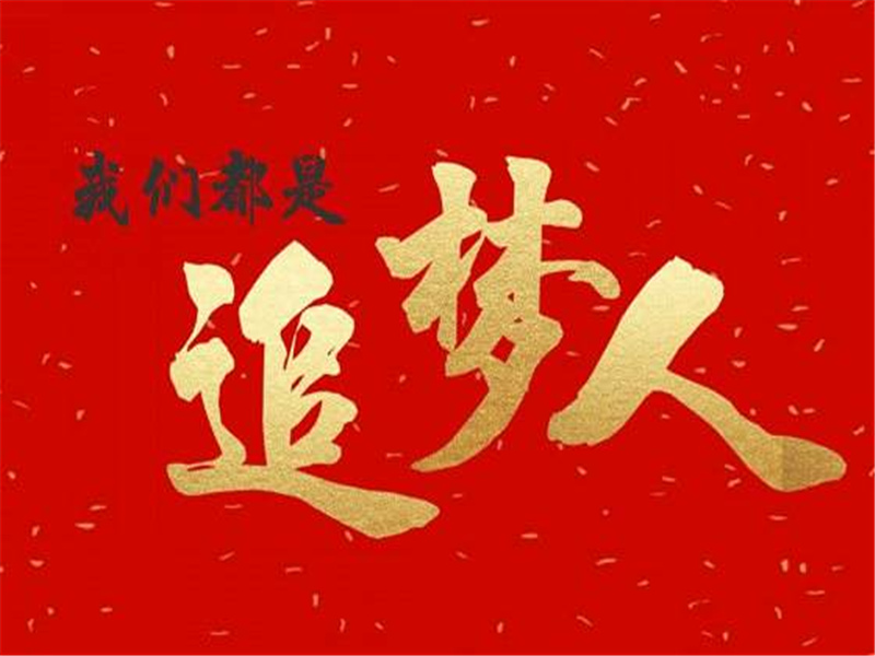 《我们都是追梦人》作文800字,小学记叙作文