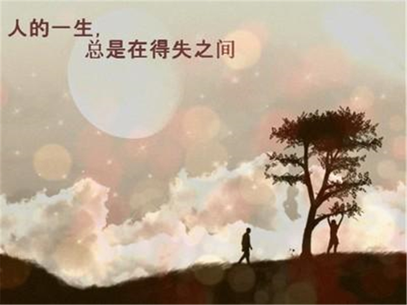 《失去与得到》作文800字,初中关于失去感悟作文