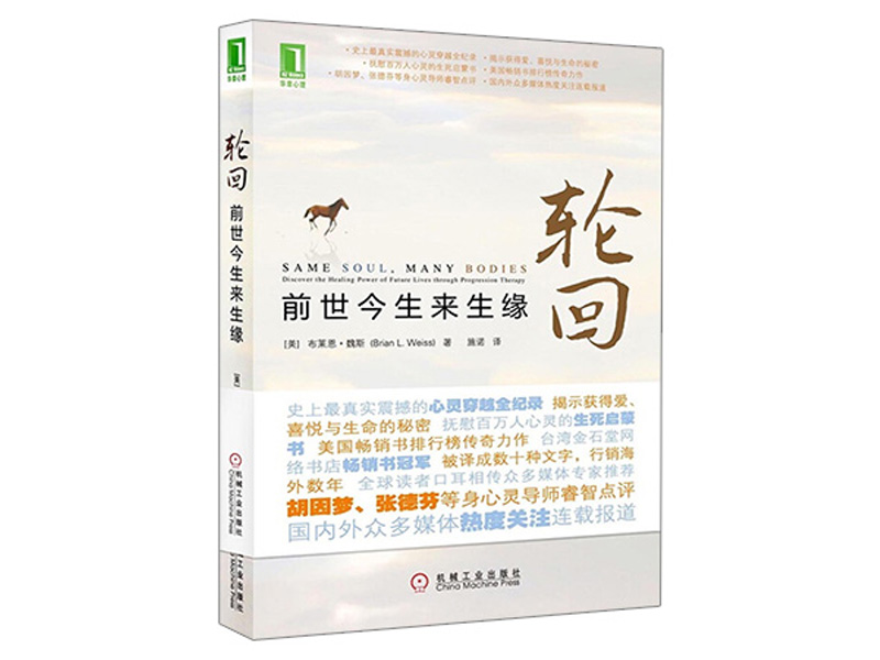 《轮回》读后感800字,读后感作文