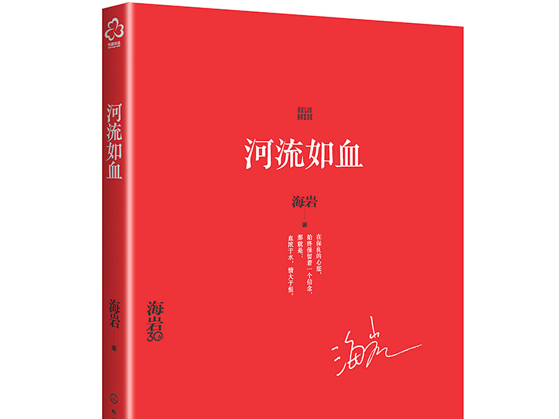 海岩《河流如血》读后感800字,读后感作文