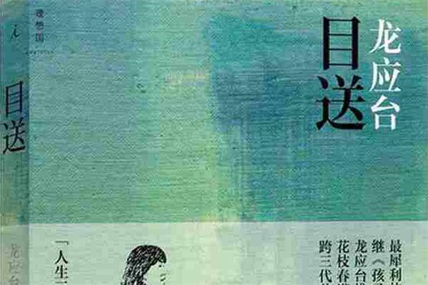 《目送》读后感-大爱无言,初中读后感作文800字