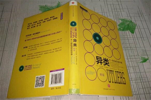 《异类·不一样的成功启示录》读后感,初中读后感作文800字