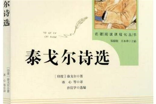 《泰戈尔诗选》读后感,初中读后感作文800字