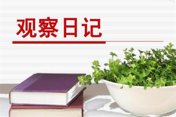 《观察日记》作文,小学植物作文800字