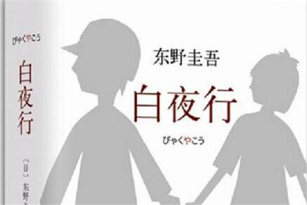 《白夜行》读后感,初中读后感作文800字