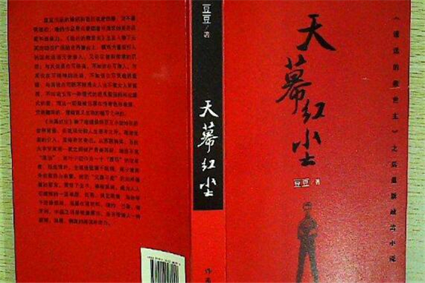 《天幕红尘》读后感,初中读后感作文800字