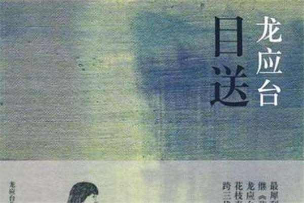 《目送》读后感,初中读后感作文800字