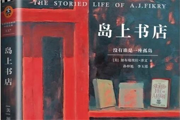 《岛上书店》读后感,初中读后感作文800字