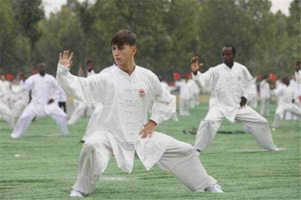 《学太极拳》作文,小学感悟作文800字