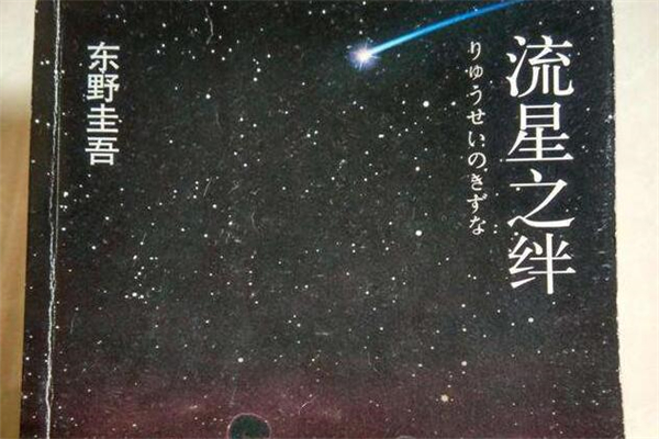 东野圭吾《流星之绊》读后感,初中读后感作文800字