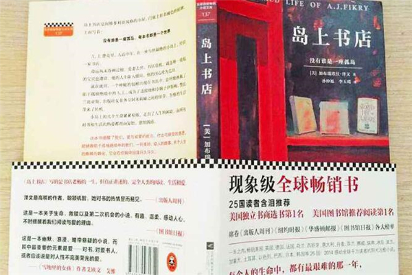 《岛上书店》读后感,初中读后感作文800字