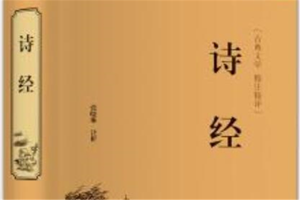 《诗经》鹊巢读后感,初中读后感作文800字