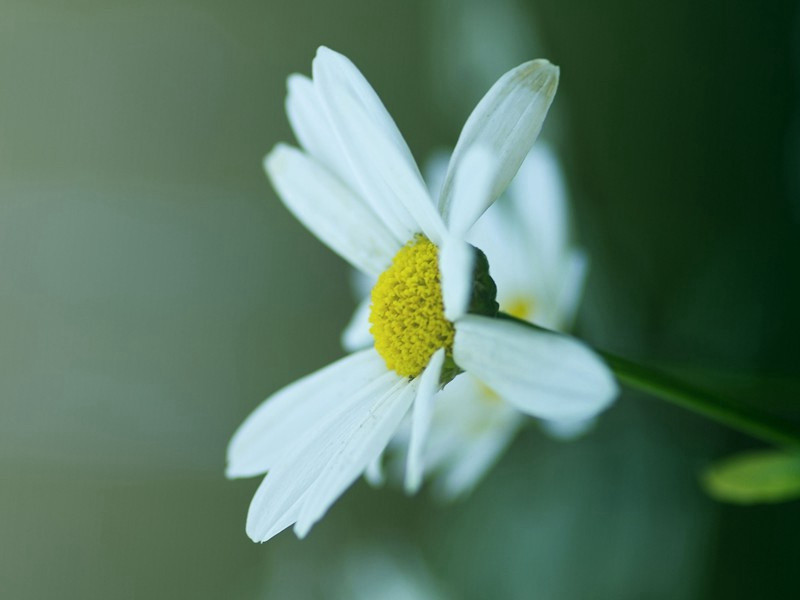 关于中秋节的优秀作文(6篇)