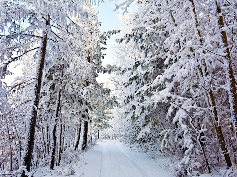 最新下雪经典句子(99句)