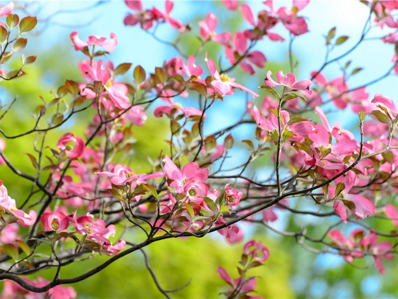 五四青年节朋友圈说说(119句)