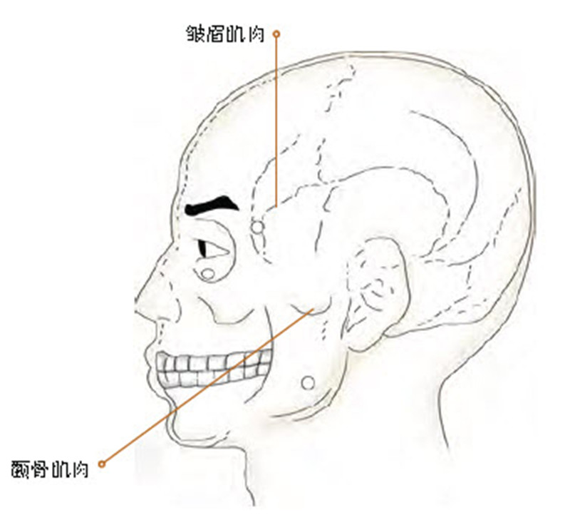 肢体语言的6种作用,直接传达感情且让人更具魅力