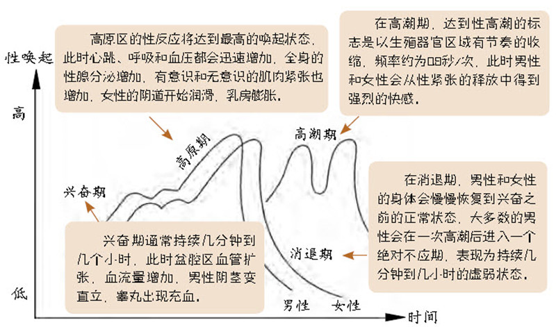 性行为的性别差异对于约会和做爱,男人更喜欢后者