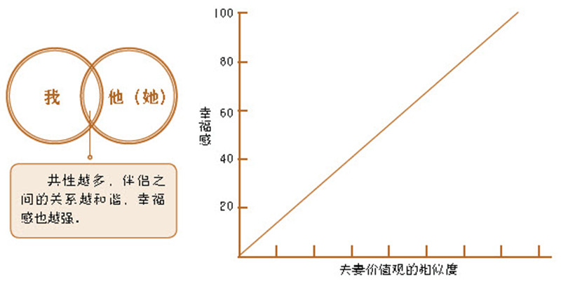 相似性和好感相似的伴侣更长久