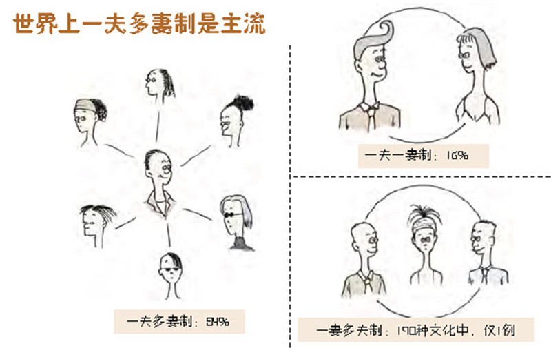 纯洁的价值,男人需要确信自己是孩子的父亲