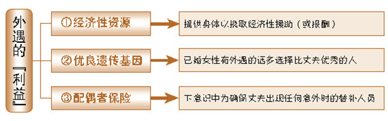 女人的外遇原因,女性希望从外遇中得到什么