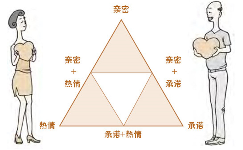 爱情三角理论,构成爱情的3种要素以及爱情的8种形态