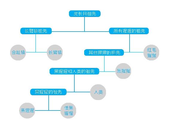 人类为什么实行一夫一妻制,同时喜好偷情