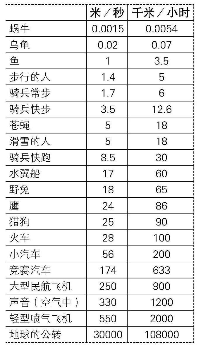 我们的运动速度有多快