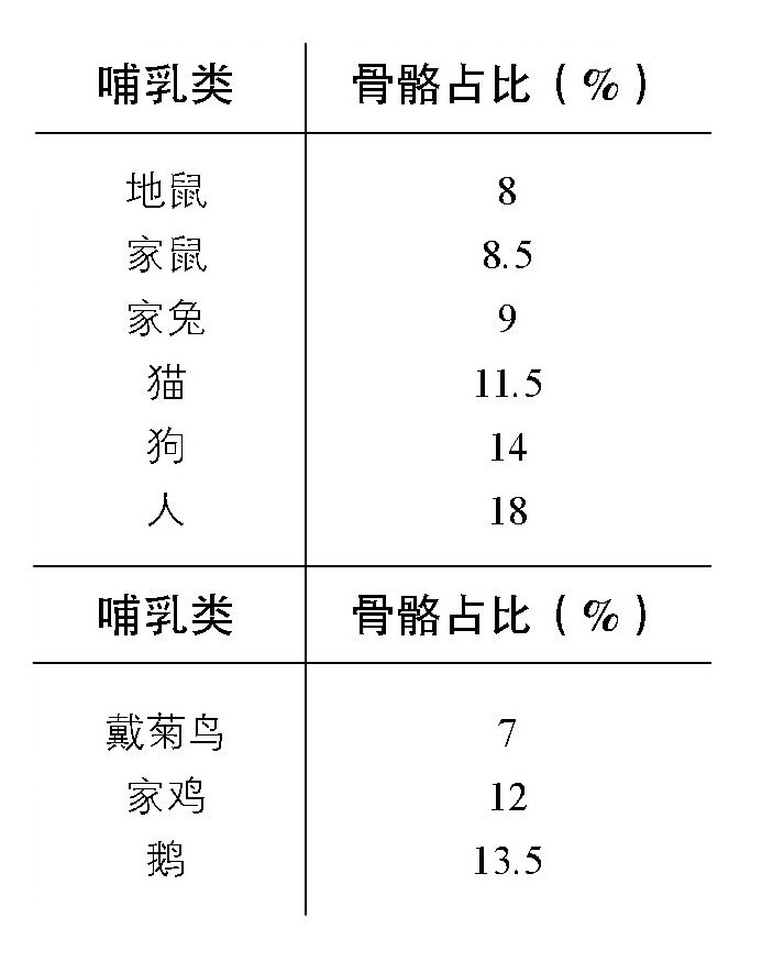 河马为什么总是一副很笨重的样子