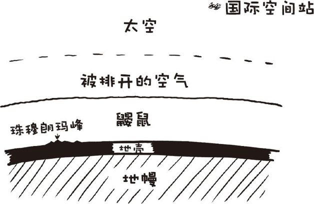 如果你把一摩尔的鼹鼠放到一起会发生什么?