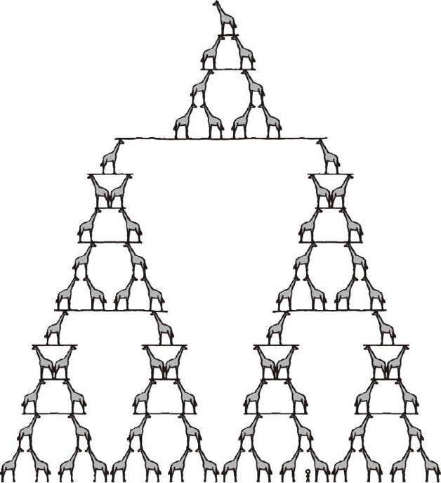 人类可以把一个物体扔多高?