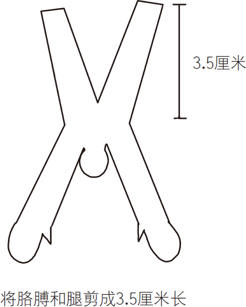 奇妙的平衡技巧实验