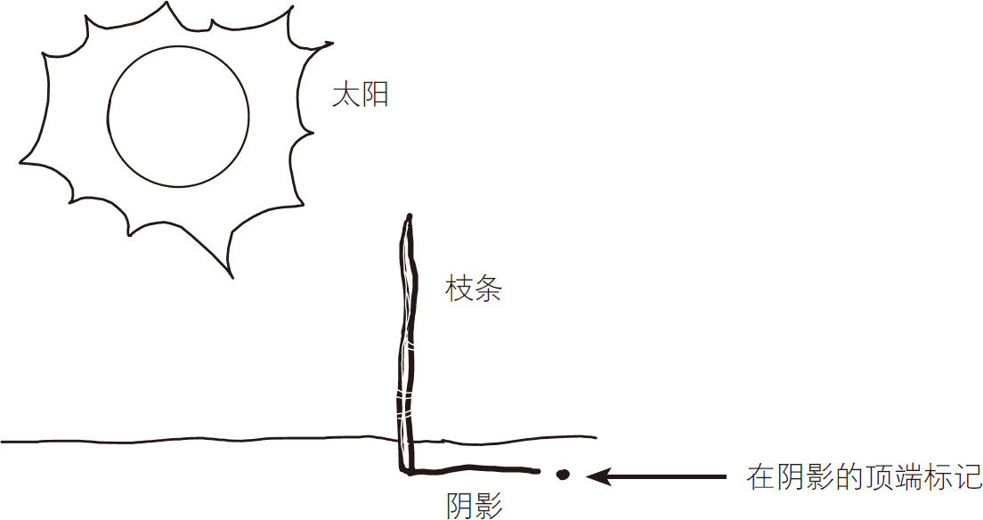 奇妙的确定方向的技巧：枝条