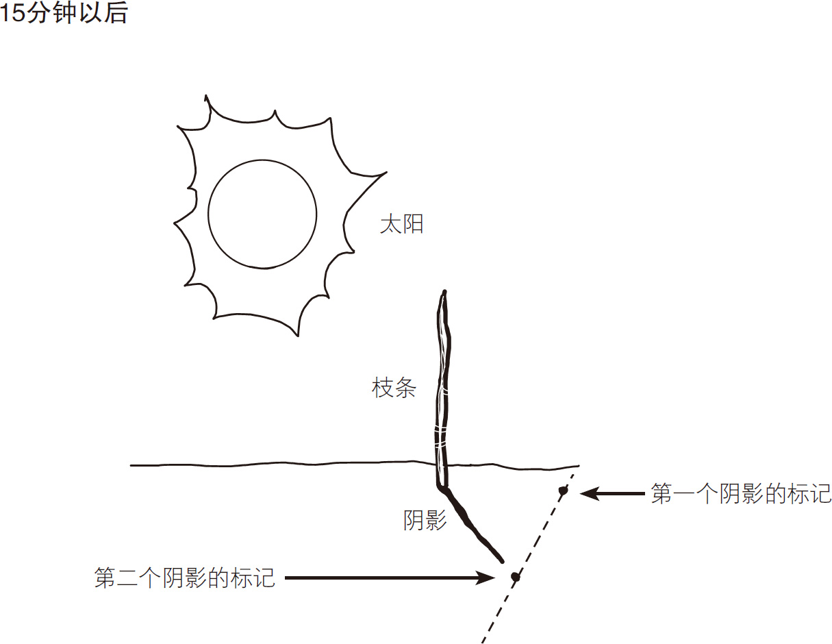 奇妙的确定方向的技巧：枝条