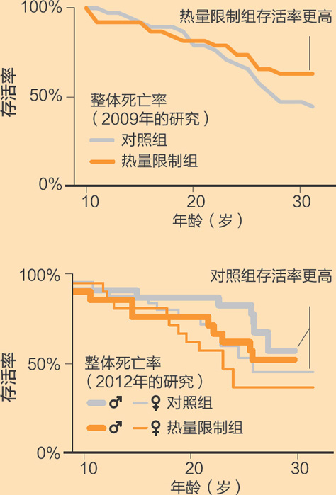 禁食有助长寿?