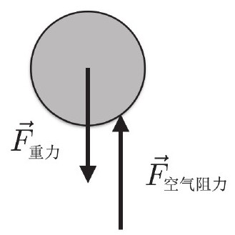 把火鸡从空中丢下去,能把火鸡烧熟吗?