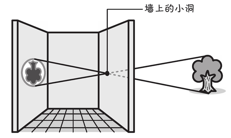 用放大镜能在纸上映照出风景吗?