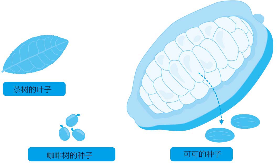 让人着迷的植物毒素