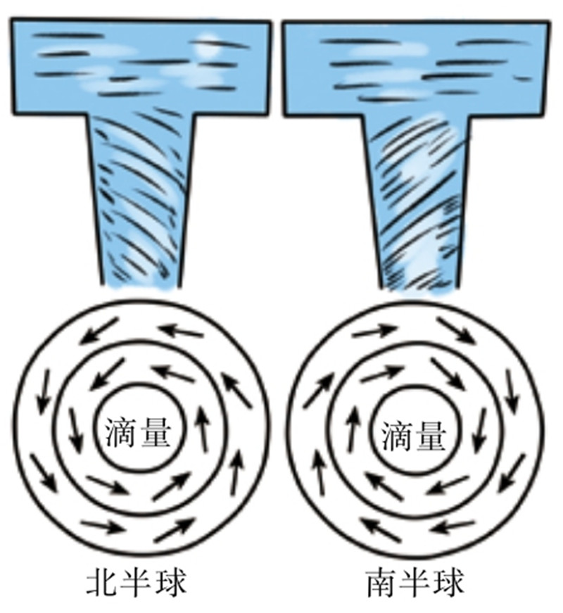 水旋涡会按照顺时针旋转还是按照逆时针旋转