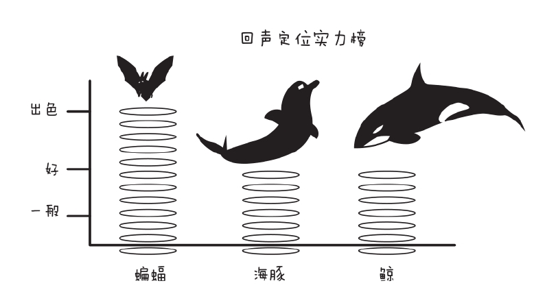 人能回声定位吗?