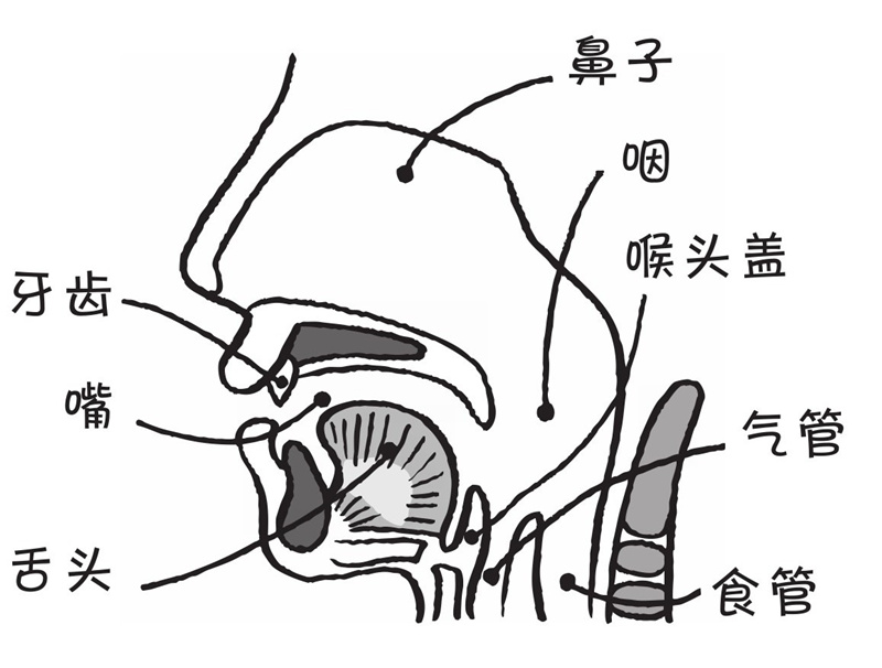 为什么着急吃东西就会呛（qiàng）到?