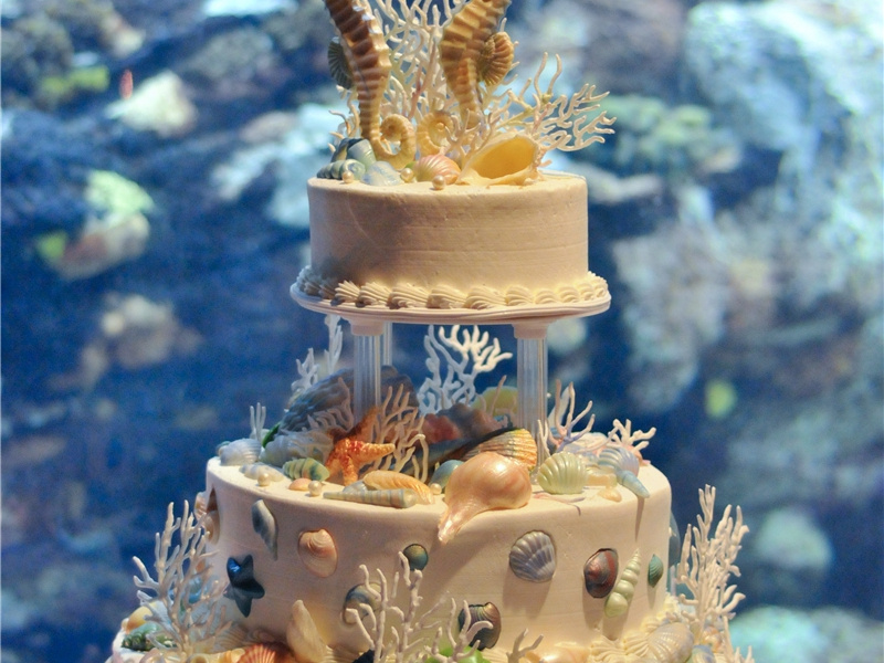 老婆生日祝福语