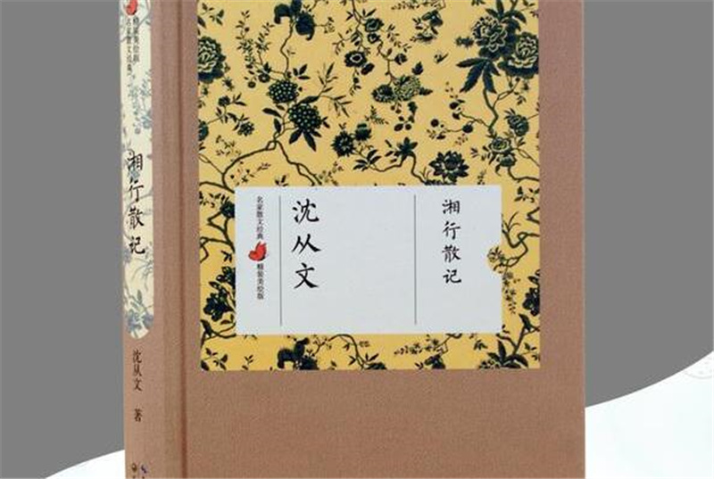 《湘行散记》读后感1000字,高中读后感作文