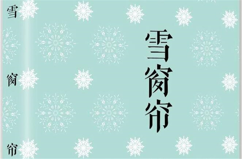 《雪窗帘》短篇小说集读后感1000字,高中读后感作文