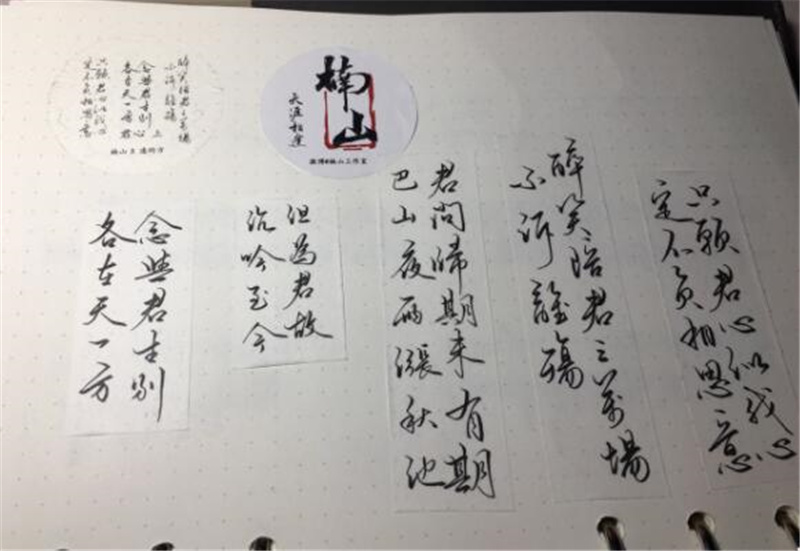 东坡词,我的最爱作文700字,初一作文