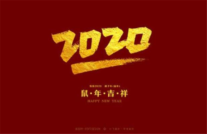 来自2020的惊喜作文600字,初一作文